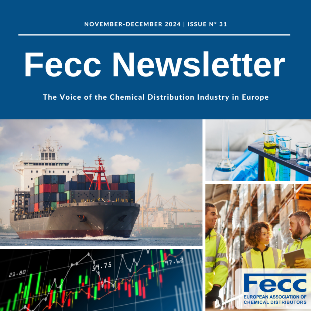 The Fecc Newsletter nº 31 (Nov.-Dec. 2024) is out now!